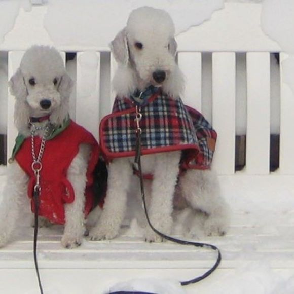 Meet your Posher, Tracy - Picture 1 of 1